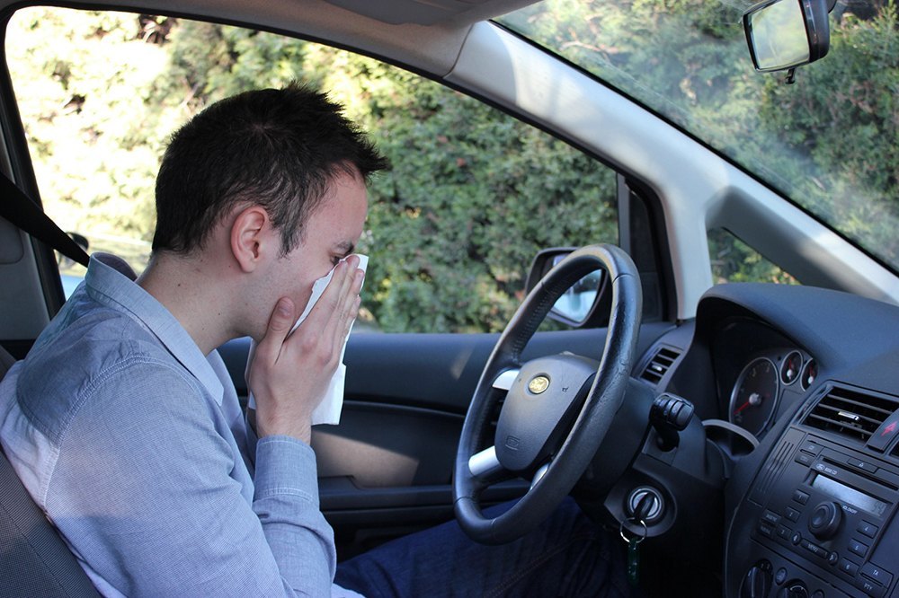 Lee más sobre el artículo 6 Consejos para conductores alérgicos